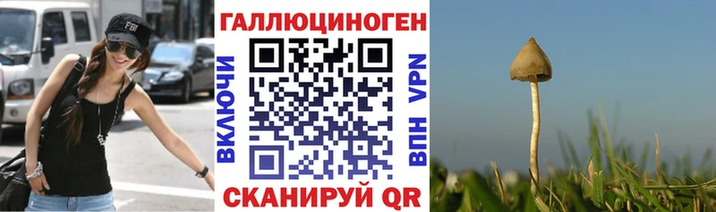 дарнет шоп  ОМГ ОМГ как войти  Галлюциногенные грибы Psilocybe  Чернушка 