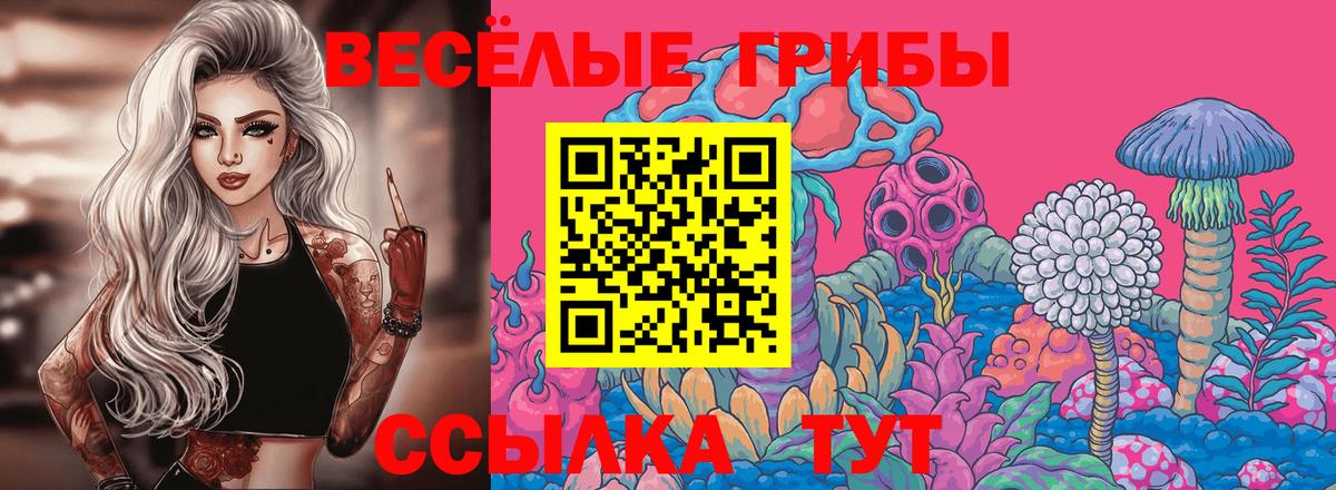 Псилоцибиновые грибы Magic Shrooms  Чернушка  Псилоцибиновые грибы Psilocybe 