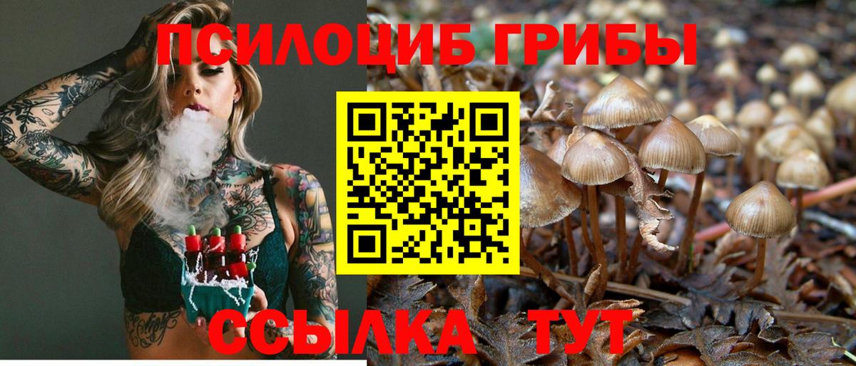 Псилоцибиновые грибы MAGIC MUSHROOMS  Вход с VPN  Чернушка 