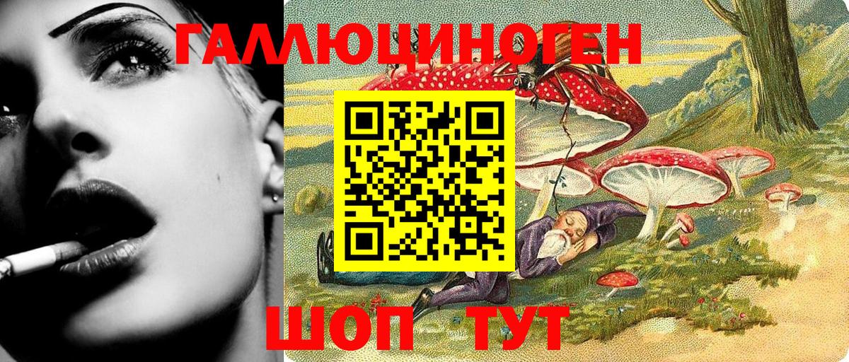 Галлюциногенные грибы мухоморы Чернушка