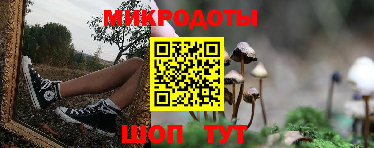 Псилоцибиновые грибы GOLDEN TEACHER Чернушка